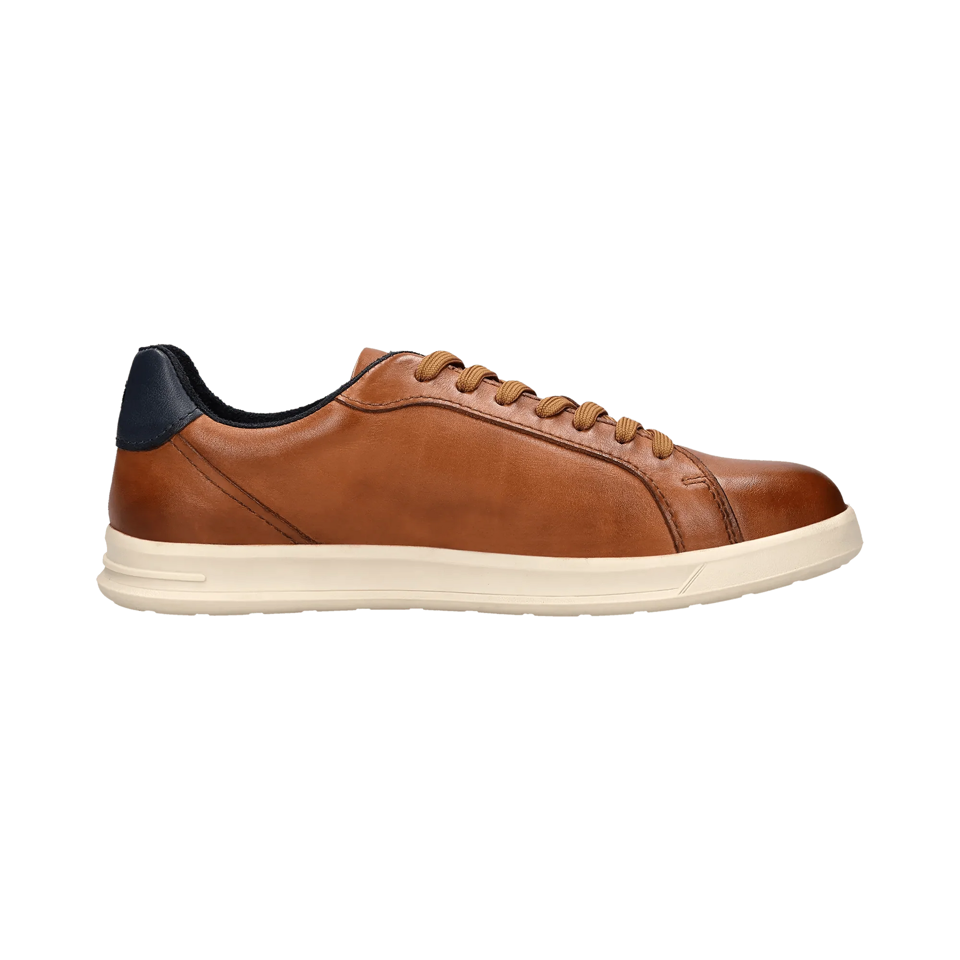 Brown leather sneaker with dark navy heel and beige sole
