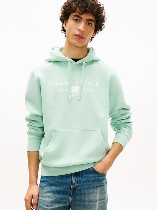 Person wearing a light green hoodie with a Tommy Hilfiger brand logo on a white background