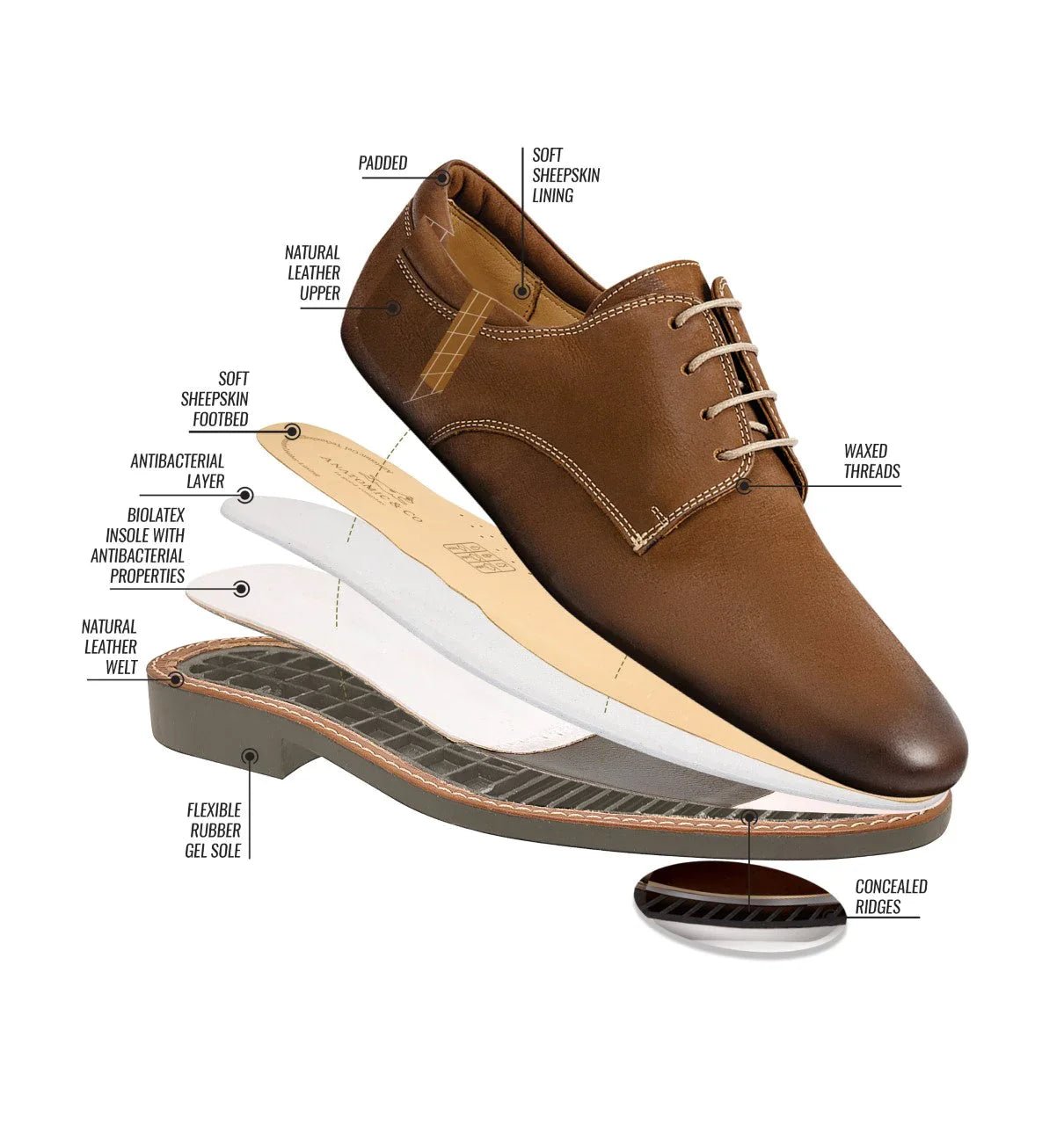 Anatomic&Co Delta Shoe - Matt O'Brien Fashions