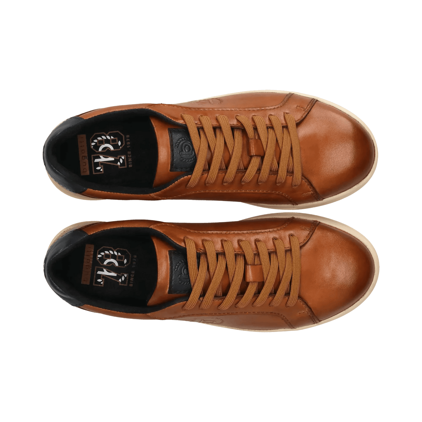 Bugatti Casual Sneaker Lace - Matt O'Brien Fashions