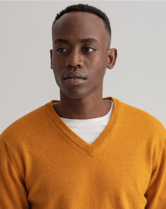 Gant v neck sweater online